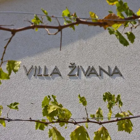 Zivana Villa *